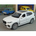 Модель автомобиля BMW X5 (1/41)